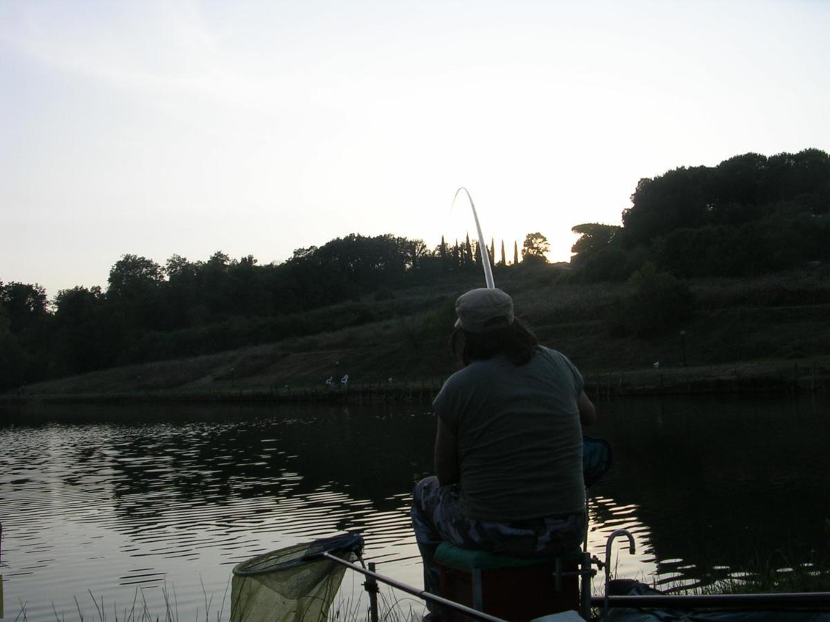 Da Simone Podere Santi Lucia E Pietro Siena Buitenkant foto